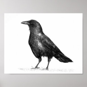 Póster Crow