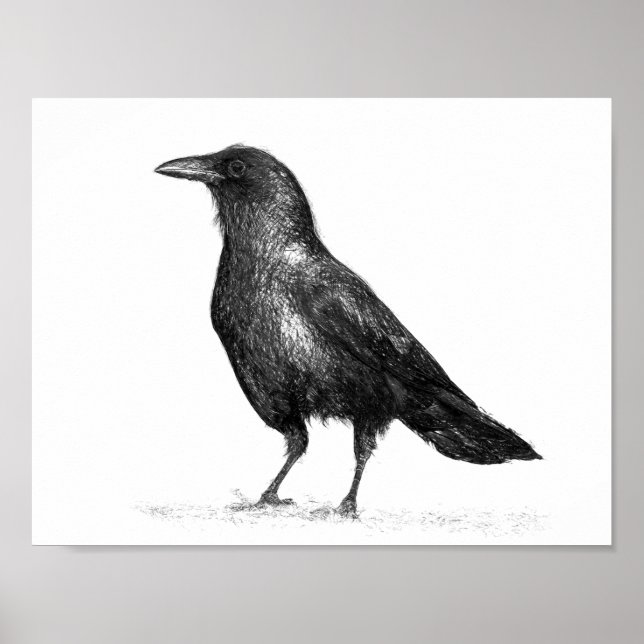 Póster Crow (Frente)