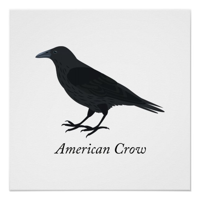 Póster Crow americano (Anverso)