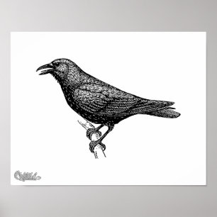 Póster Crow Bird Art