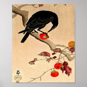 Póster Crow Comiendo Un Persimón De Ohara Koson