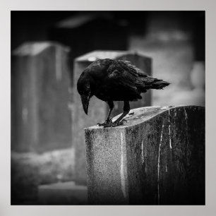 Póster Crow en el cementerio caído