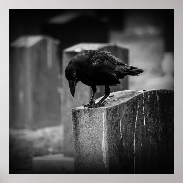 Póster Crow en el cementerio caído (Frente)