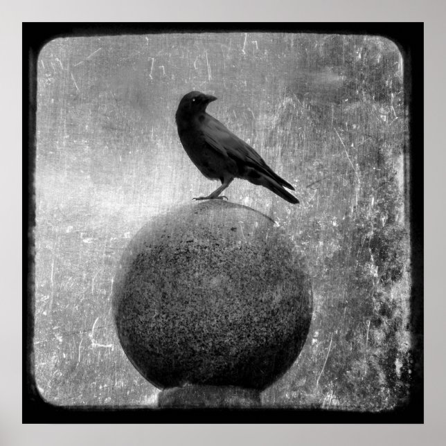 Póster Crow mágico (Frente)