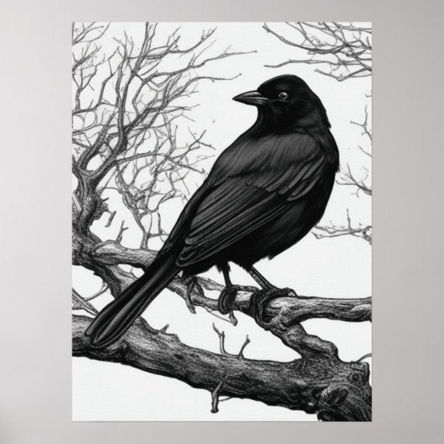 Póster Crow Perched on Bare Winter Branches (Frente)