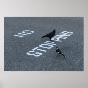 Póster Crow y Magpie
