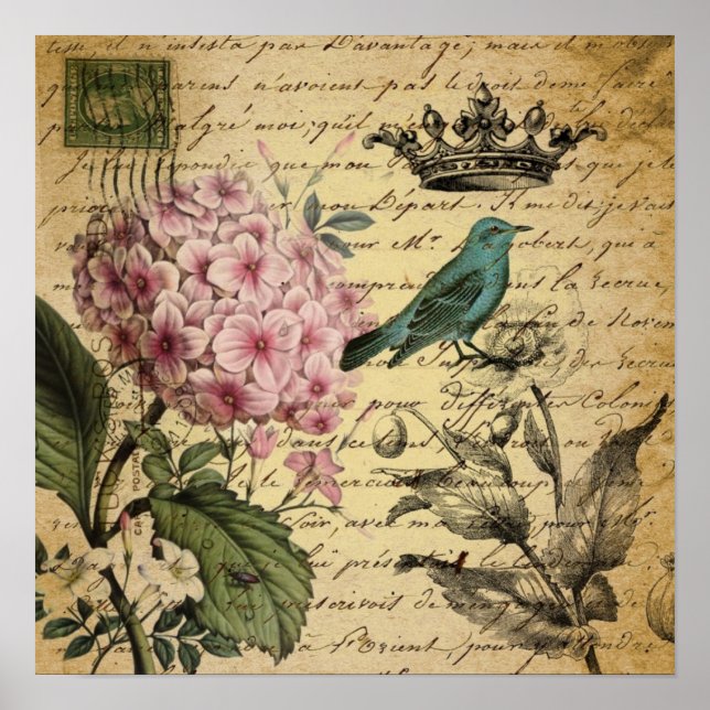 Póster crown script hydrangea bird french botanical (Frente)