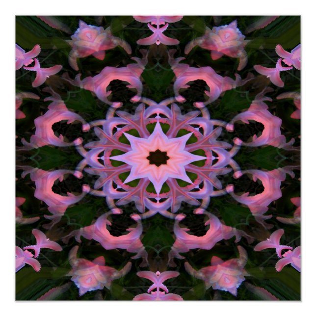 Póster Crowns in Pink. (Anverso)