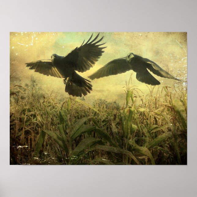 Póster Crows Of The Corn (Frente)