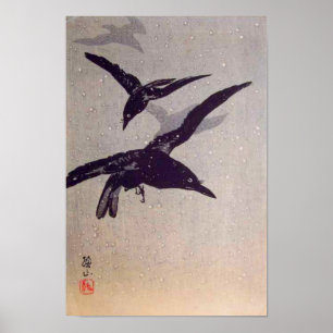 Póster Crows volando en nieve