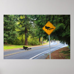 Póster Cruce de patos