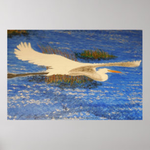 Póster Crudo blanco de nieve