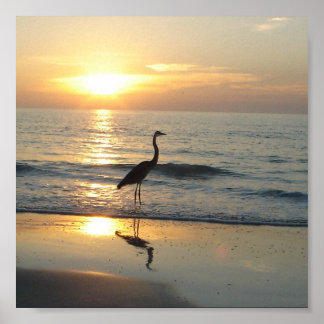 Póster Cruz Beach Florida Sunset Crane