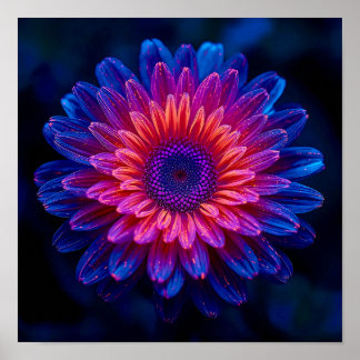 Póster Crystalline Cascade