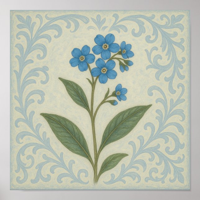 Póster Cuadrado de desplazamiento de floral Forget-Me-Not (Frente)