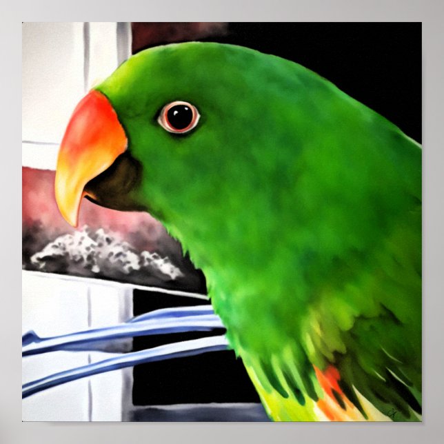 Póster cuadrado de loro Eclectus (Frente)