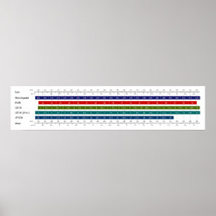 Póster Cuadro de comparación del tamaño de los zapatos de