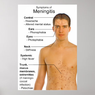 Póster Cuadro de síntomas Inflamación Enfermedad Meningit