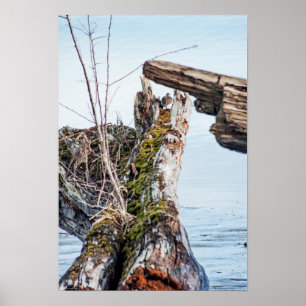 Póster Cuadro de visualización