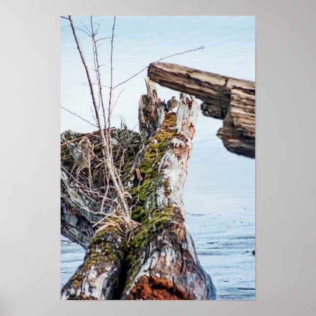 Póster Cuadro de visualización (Frente)