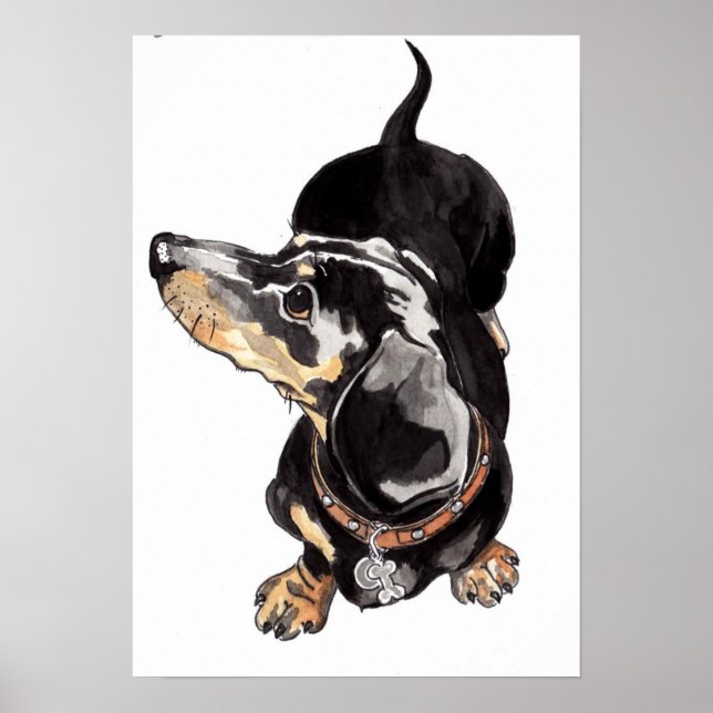 Póster Cuadros acuáticos de Dachshund por Annabel Tarrant (Frente)