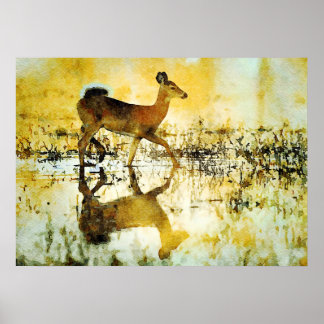 Póster Cuadros de color de agua de la cola blanca del cie