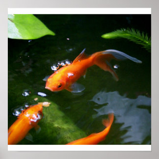 Póster CUADROS DE PESCADO www.debbie-may.fineartamerica.c