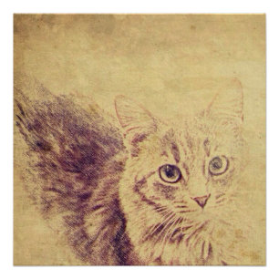 Póster Cuadros gatos de amor boceto de lápiz grisáceo gat