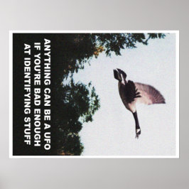 Póster Cualquier cosa puede ser un OVNI (medio)