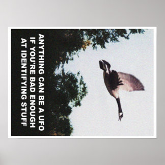 Póster Cualquier cosa puede ser un OVNI (medio)