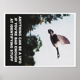 Póster Cualquier cosa puede ser un OVNI (pequeño)