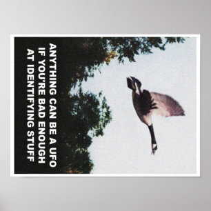 Póster Cualquier cosa puede ser un OVNI (pequeño)