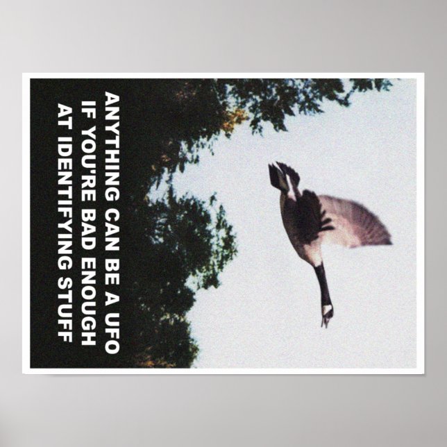 Póster Cualquier cosa puede ser un OVNI (pequeño) (Frente)