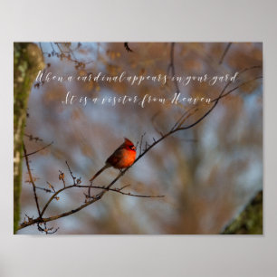 Póster Cuando aparece un cardenal, fotografíe