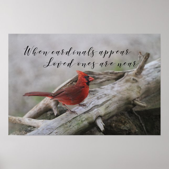 Póster Cuando aparecen cardenales, los seres queridos est (Frente)