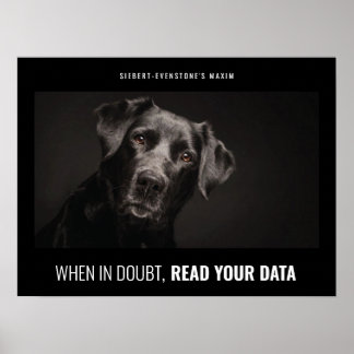 Póster Cuando está en duda