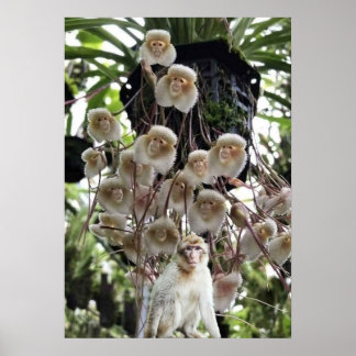 Póster Cuando la naturaleza copia a la naturaleza.