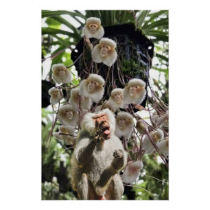 Póster Cuando la naturaleza copia a la naturaleza.