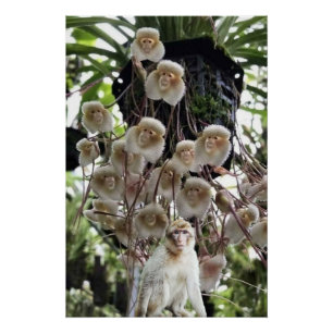 Póster Cuando la naturaleza copia a la naturaleza.
