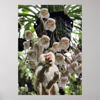 Póster Cuando la naturaleza copia a la naturaleza.