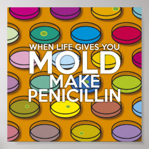 PÓSTER CUANDO LA VIDA TE DA MOHECIMIENTO HAZ PENICILINA