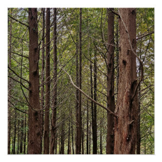 Póster Cuando las cosas se ponen difíciles, los duros se 