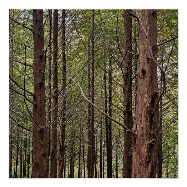 Póster Cuando las cosas se ponen difíciles, los duros se  (Anverso)