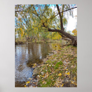 Póster Cuando las hojas juegan una melodía