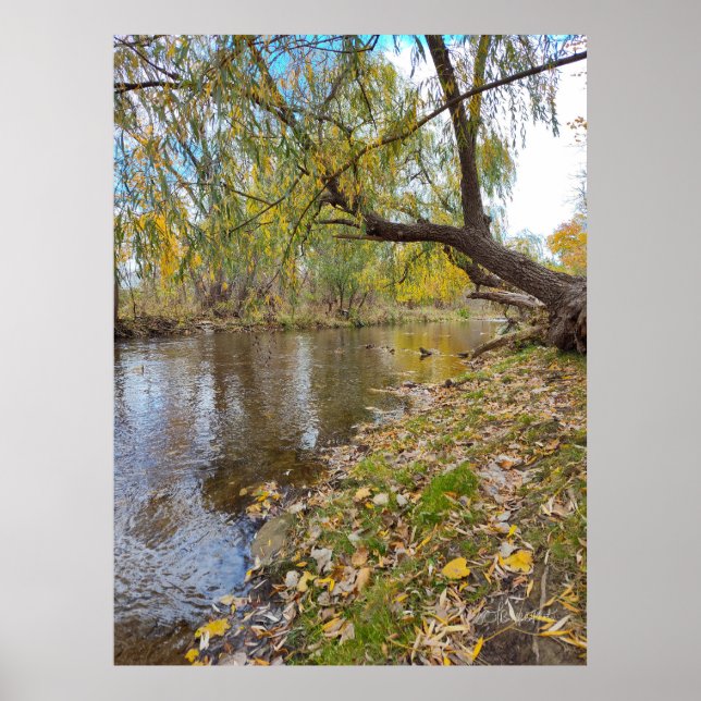 Póster Cuando las hojas juegan una melodía (Frente)
