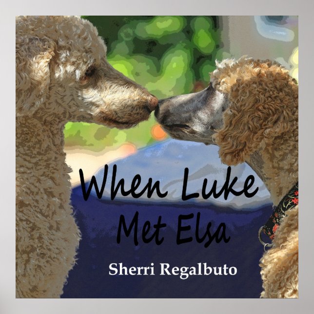 Póster Cuando Luke conoció a Elsa Poster (Frente)