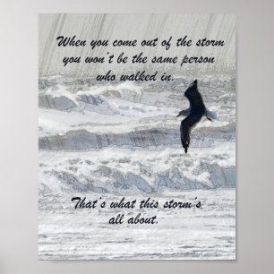 Póster Cuando sales de la tormenta Inspiradora