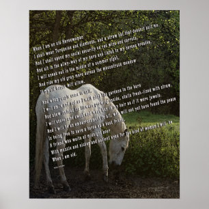 Póster Cuando soy una anciana Cabalera III