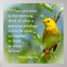 Cuando Surjas La Cita De Inspiración De Marcus Aur