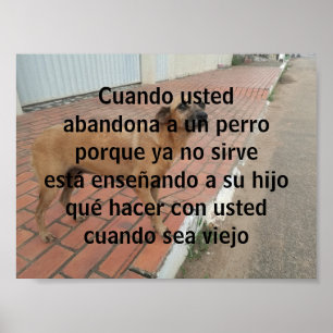 Póster cuando usto abandona un perro